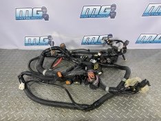 2017 Yamaha Wave Runner FX HO Wiring Harness Electrics Wire Loom 6CR-8259L-20