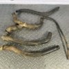 2005 Gas Gas FSE 450 RADIATOR HOSES COOLING LINES PIPES JOINTS