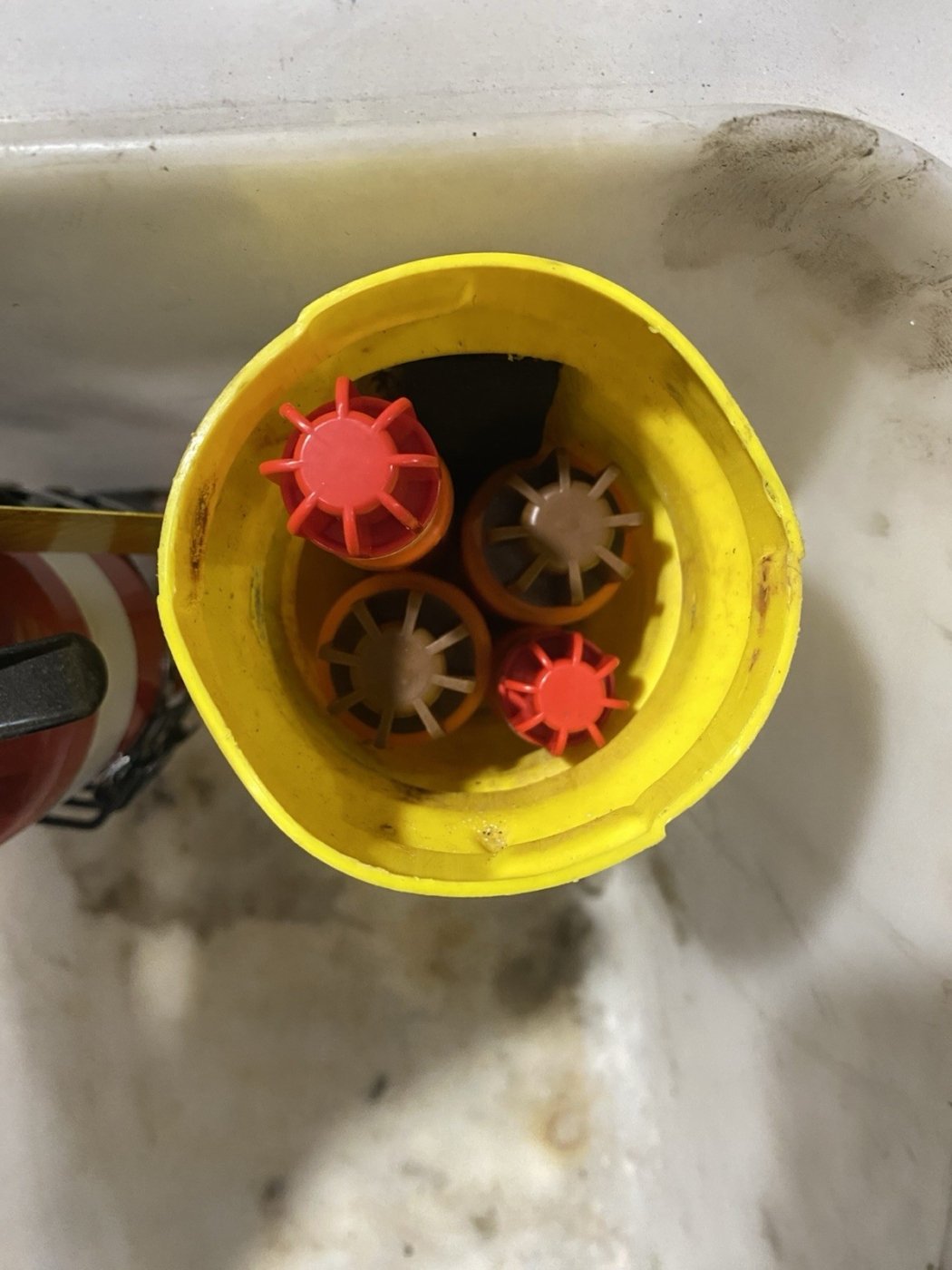 689348b4d3710a48896c981d jpg