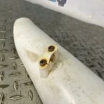 68f7021a173cf5042d6d9f96 jpg