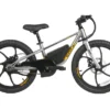 EKIDS20 1.0 Eunorau Electric Bike | 24V 250W | E-Bike Kids Junior