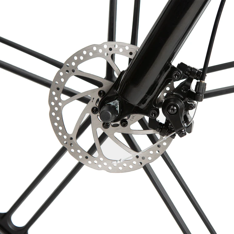 Dual Disc Brake System
