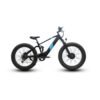 Eunorau Defender-S Electric Bike