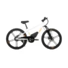 EKIDS24 X1.0 Eunorau Electric Bike | 24V 250W | E-Bike Kids Junior