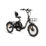 one trike 2 0 10