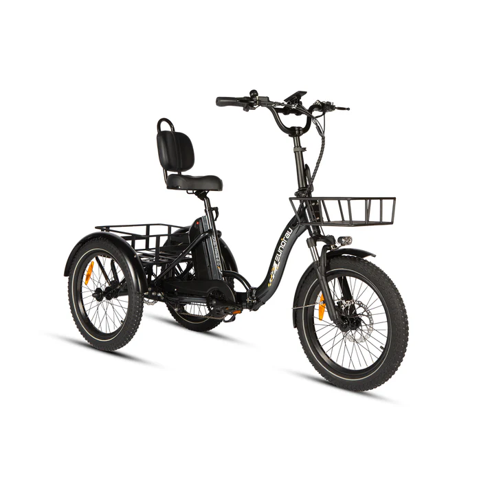 one trike 2 0 10