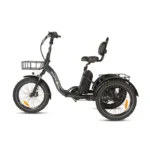 one trike 2 0 11