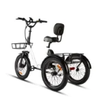 one trike 2 0 9
