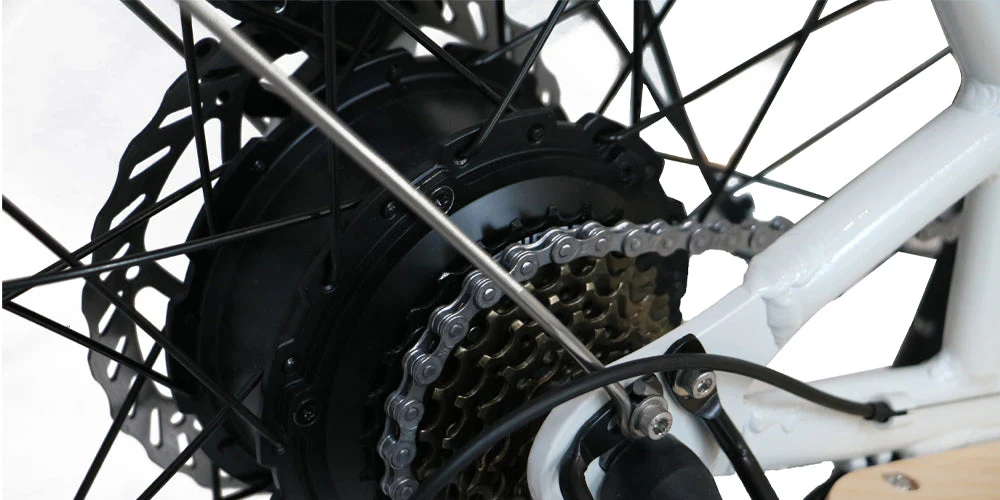 250W Rear Hub Motor