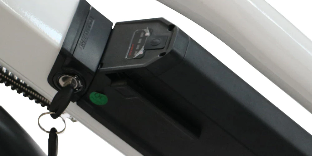 Removable Lithium-Ion Battery