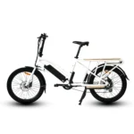 eunoraumax cargox2w 2