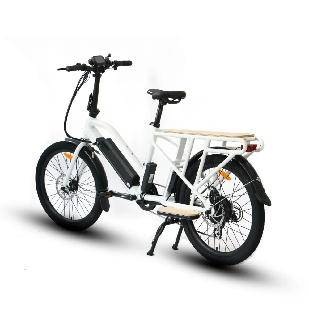 eunoraumax cargox2w 4