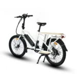 eunoraumax cargox2w 4