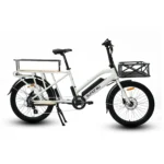 eunoraumax cargox2w 5