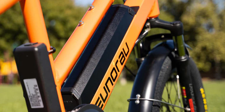 High Capacity Removable Battery