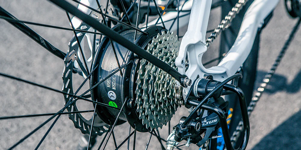 250W Rear-Mounted Motor